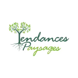 Tendances Paysages, installateur agréé Verébo, expert du gazon synthétique